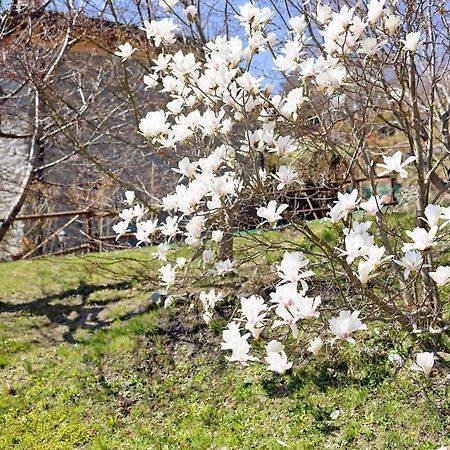 Willa Casa Dei Tigli Ormea Zewnętrze zdjęcie